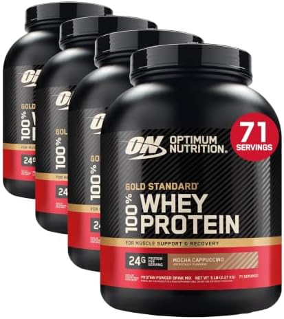Optimum Nutrition Gold Standard Proteína de suero de leche, chocolate doble rico, 2 libras